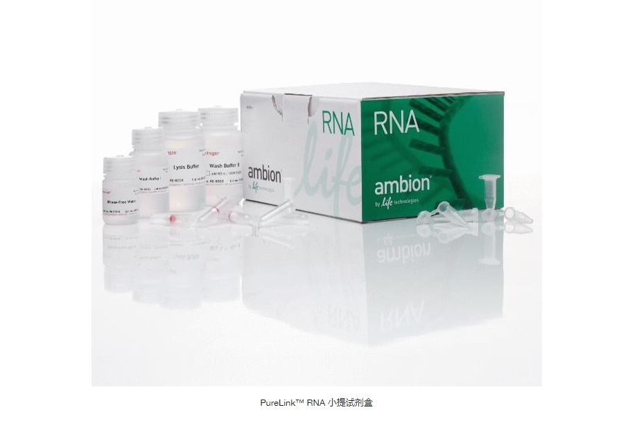 PureLink™ RNA 小提试剂盒