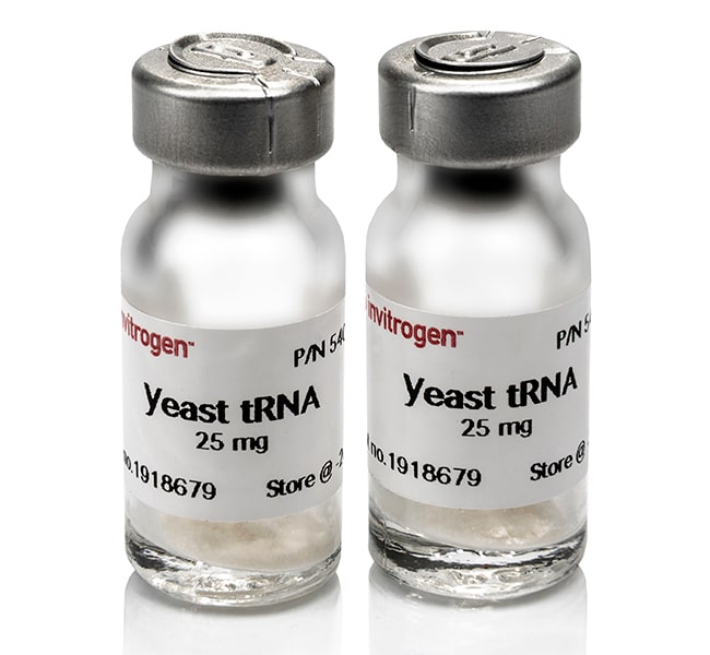 酵母菌 tRNA