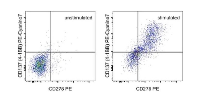 CD137 (4-1BB) Monoclonal Antibody (17B5), PE-Cyanine7, eBioscience™