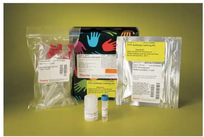 NHS-荧光素（5/6-羧基荧光素琥珀酰亚胺酯），混合异构体 Thermo Scientific™ NHS-荧光素（5/6-羧基荧光素琥珀酰亚胺酯），混合异构体