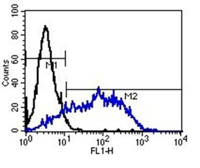 Goat anti-Mouse IgM Secondary Antibody, FITC