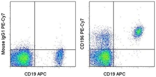 CD196 (CCR6) Monoclonal Antibody (R6H1), PE-Cyanine7, eBioscience