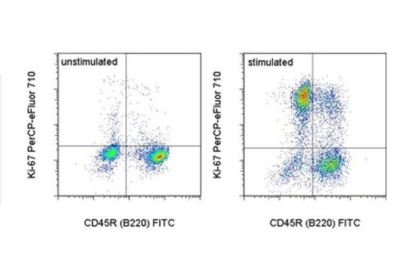 Ki-67 Monoclonal Antibody (SolA15), PerCP-eFluor™ 710, eBioscience™