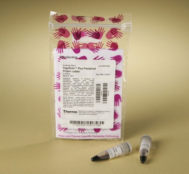PageRuler Plus 预染蛋白分子量标准，10 至 250 kDa