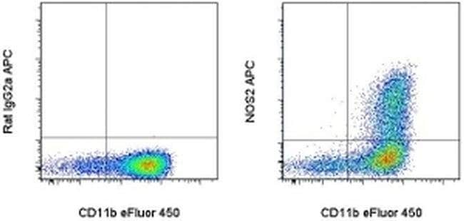 iNOS Monoclonal Antibody (CXNFT), APC, eBioscience
