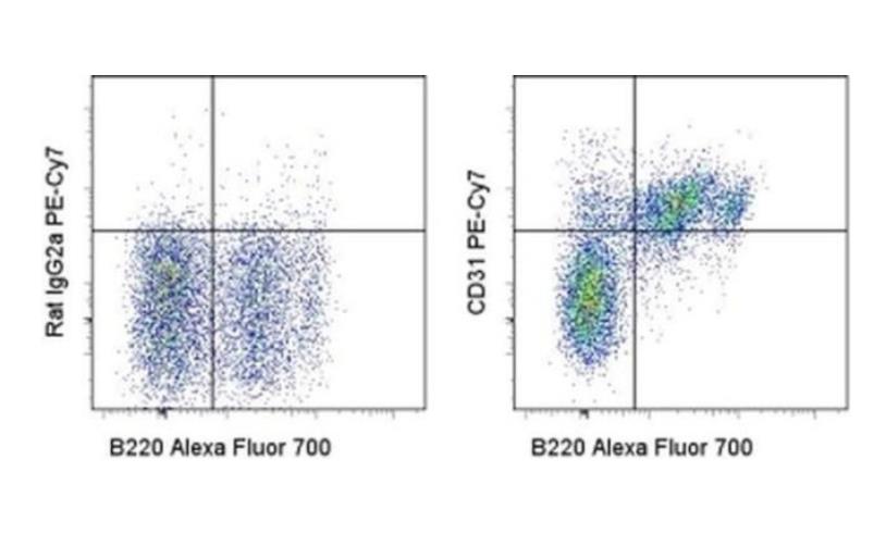 CD31 (PECAM-1) Monoclonal Antibody (390), PE-Cyanine7, eBioscience™