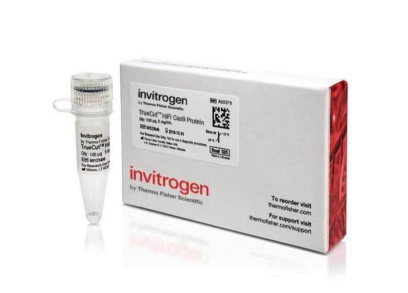 TrueCut™ HiFi Cas9 蛋白 (5 µg/µL)