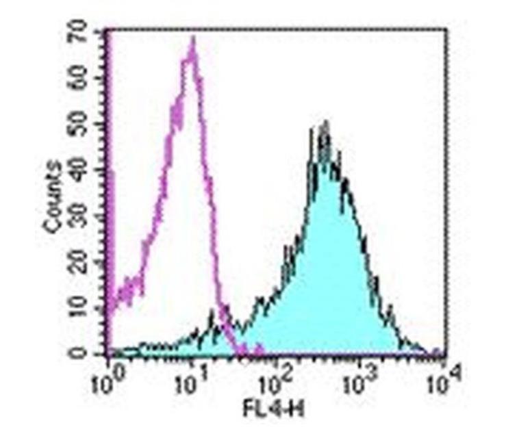 CD44 Monoclonal Antibody (IM7), APC, eBioscience™