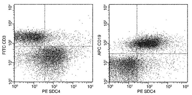 Syndecan 4 Recombinant Rabbit Monoclonal Antibody (112), PE