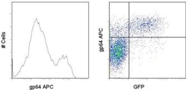 Baculovirus Envelope gp64 Monoclonal Antibody (AcV1), APC, eBioscience™
