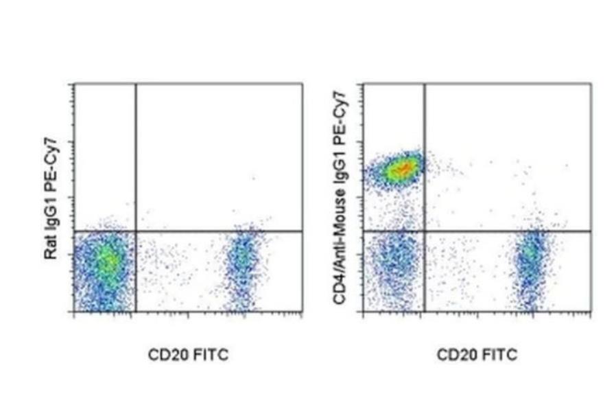 Rat anti-Mouse IgG1 Secondary Antibody, PE-Cyanine7, eBioscience™