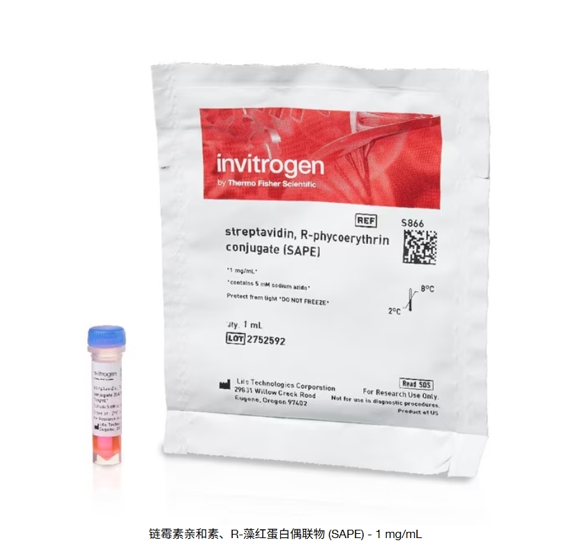 链霉素亲和素、R-藻红蛋白偶联物 (SAPE) - 1 mg/mL