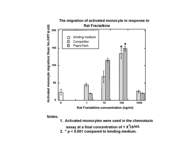 Rat Fractalkine (CX3CL1) Recombinant Protein, PeproTech&reg;