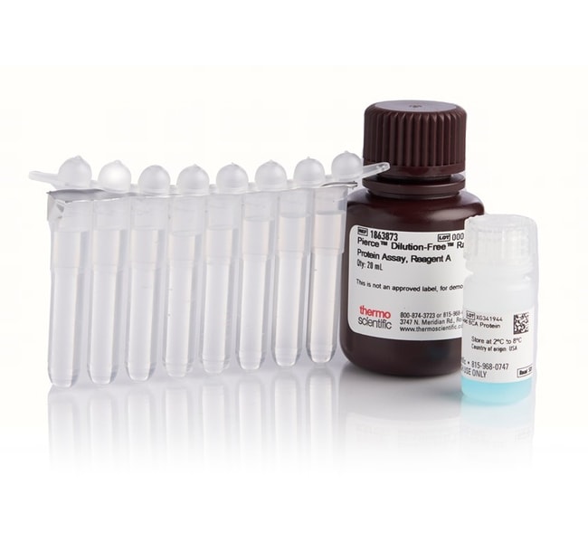 Pierce Dilution-Free Rapid Gold BCA Protein Assay, 20 mL