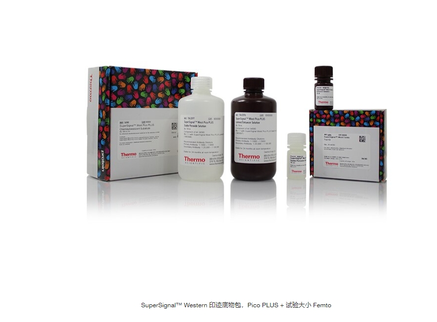 SuperSignal™ Western 印迹底物包，Pico PLUS + 试验大小 Femto