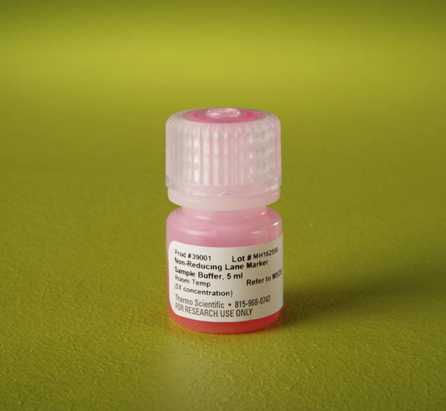 Pierce 泳道标记物非还原样品缓冲液