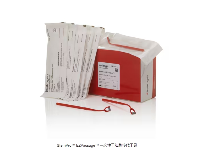 StemPro™ EZPassage™ 一次性干细胞传代工具