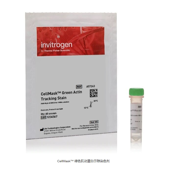 CellMask™ 绿色肌动蛋白示踪染色剂