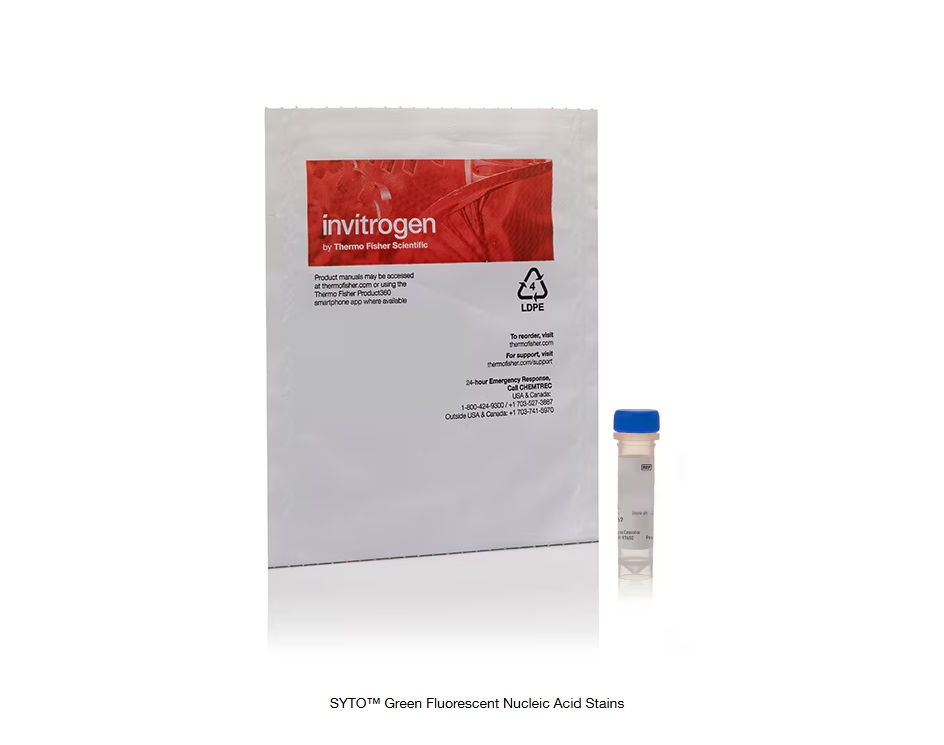 SYTO™ Green Fluorescent Nucleic Acid Stains