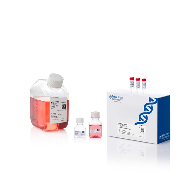 Eaze293 Plus 表达系统套装, 1 套