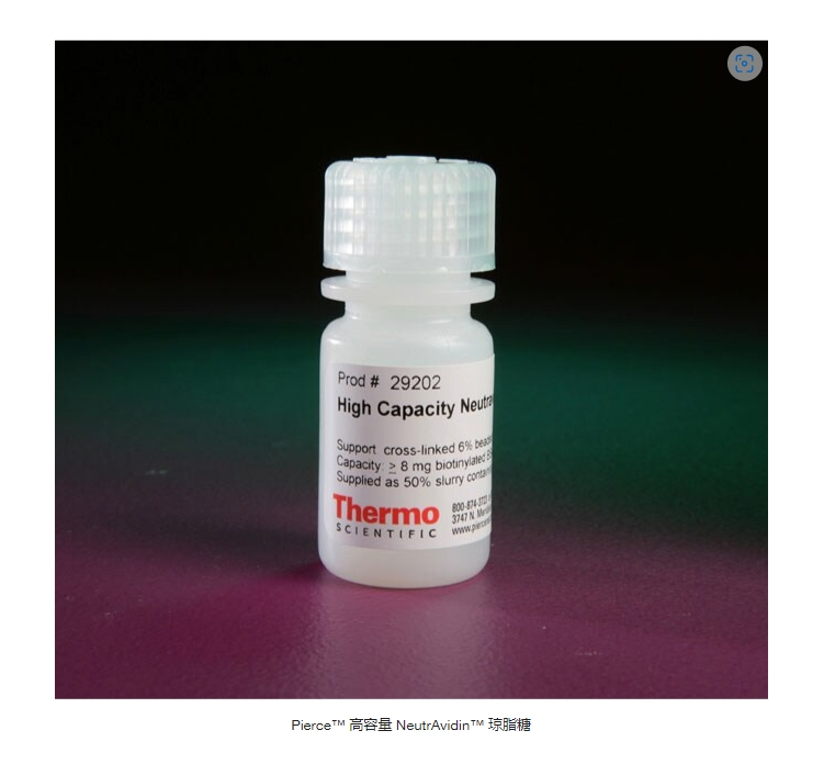 Pierce™ 高容量 NeutrAvidin™ 琼脂糖
