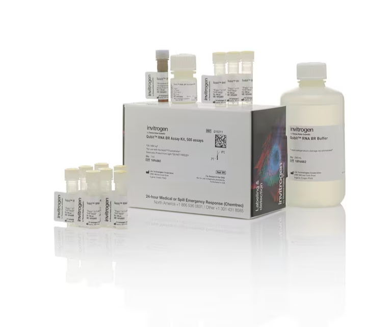 Qubit™ RNA 高灵敏度 (HS)、宽范围 (BR) 和扩展范围 (XR) 定量试剂盒