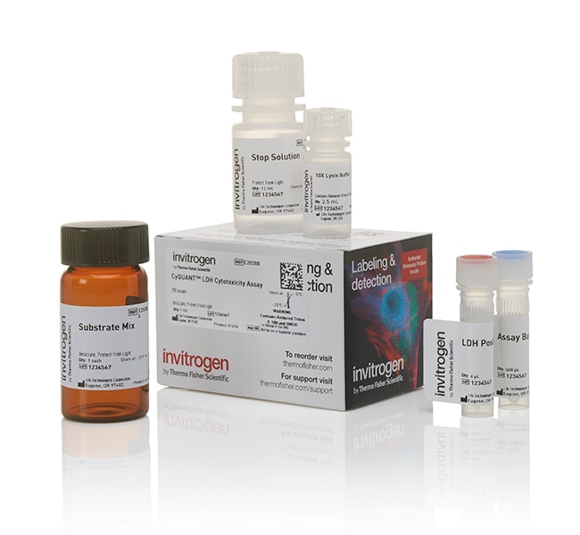 CyQUANT LDH 细胞毒性检测