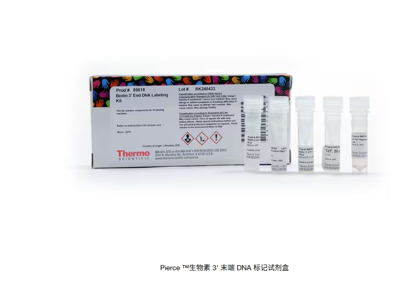 Pierce ™生物素 3 末端 DNA 标记试剂盒