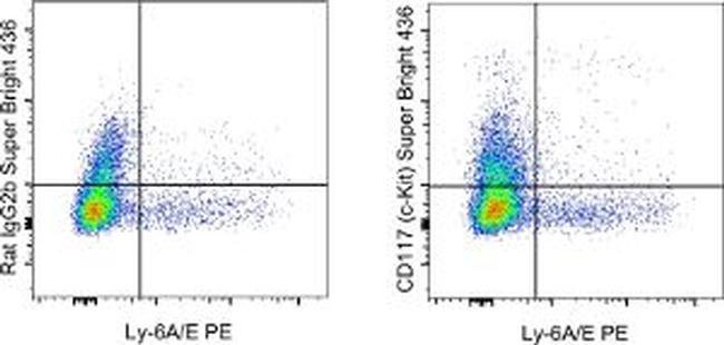 CD117 (c-Kit) Monoclonal Antibody (2B8), Super Bright 436, eBioscience