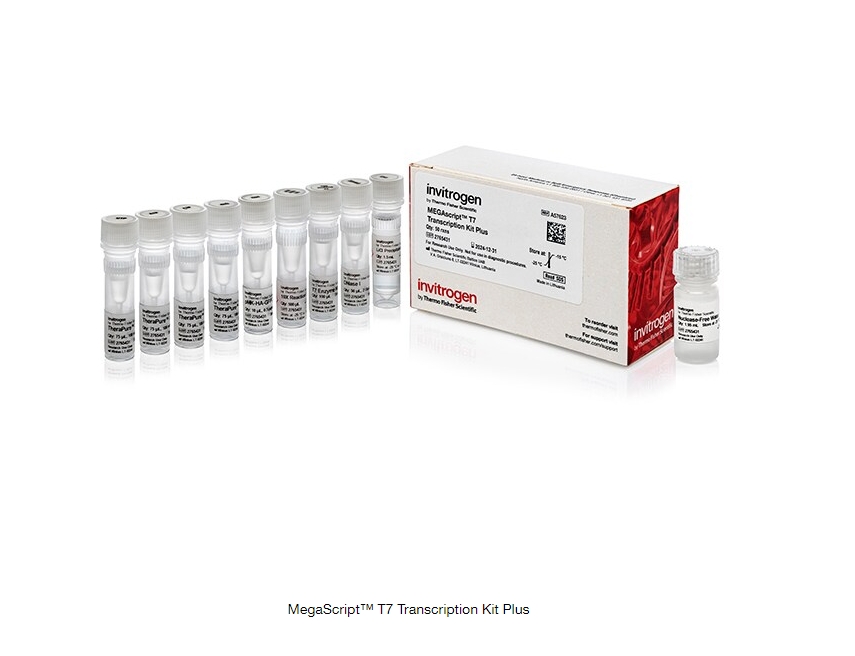 MegaScript™ T7 Transcription Kit Plus