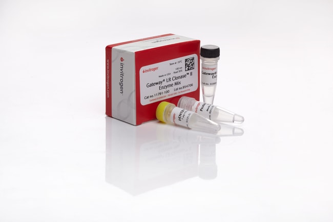 Gateway LR Clonase II 重组克隆酶，100次反应