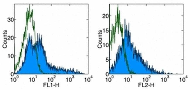 CD278 (ICOS) Monoclonal Antibody (ISA-3), Functional Grade, eBioscience