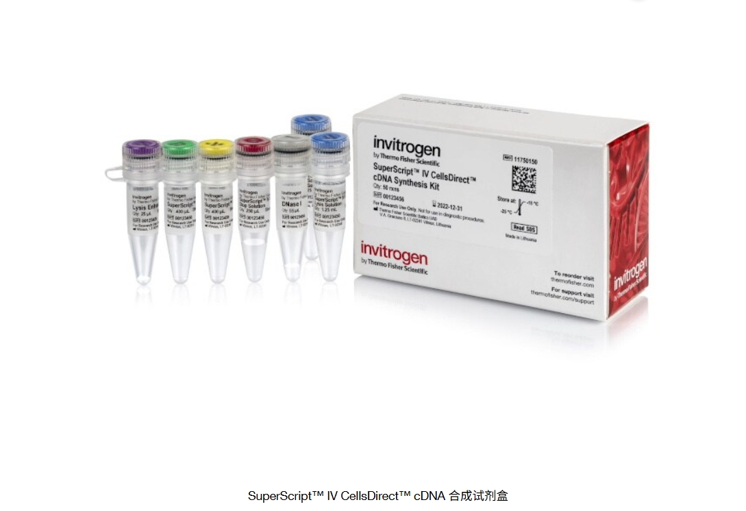 SuperScript™ IV CellsDirect™ cDNA 合成试剂盒
