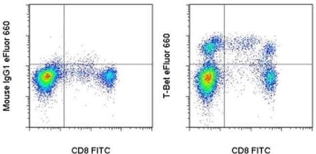 T-bet Monoclonal Antibody (eBio4B10 (4B10)), eFluor 660, eBioscience