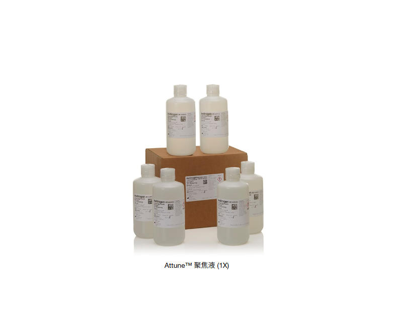 Attune™ 聚焦液 (1X)