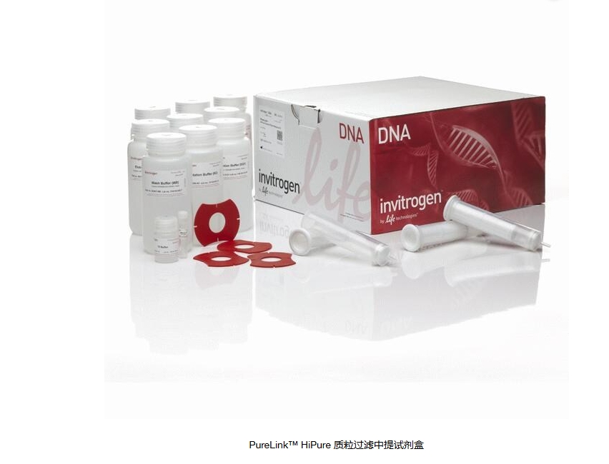 PureLink™ HiPure 质粒过滤中提试剂盒