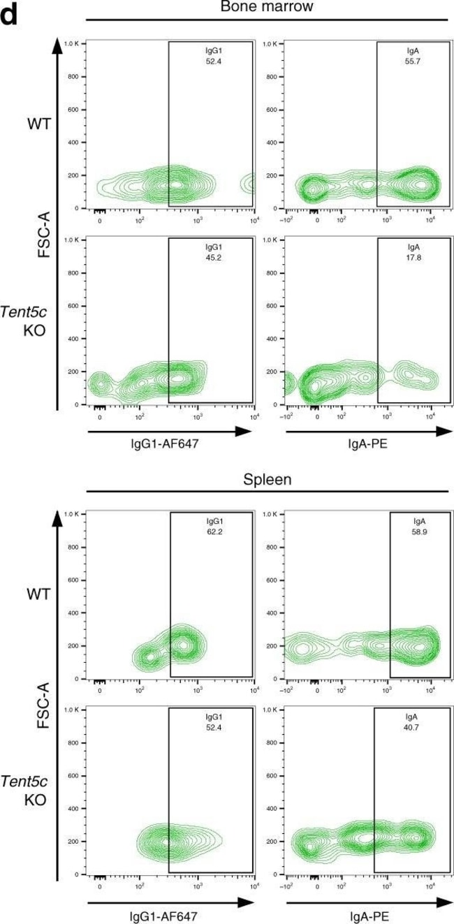 Goat anti-Mouse IgG1 Cross-Adsorbed Secondary Antibody, Alexa Fluor 647