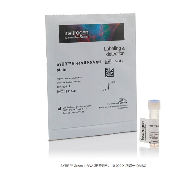 SYBR™ Green II RNA 凝胶染料，10,000 X 浓缩于 DMSO