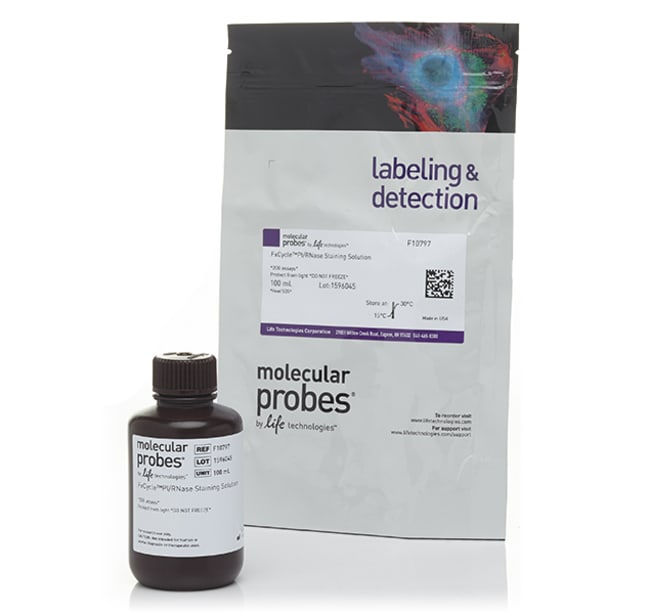 FxCycle PI/RNase 染色溶液