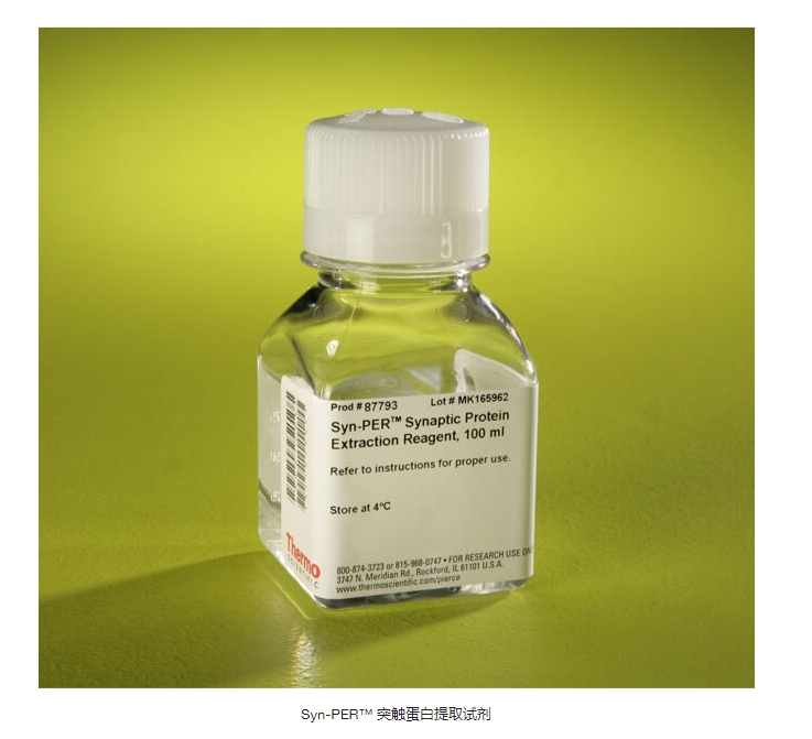 Syn-PER™ 突触蛋白提取试剂