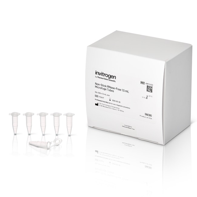 无 RNase 微量离心管，1.5 mL