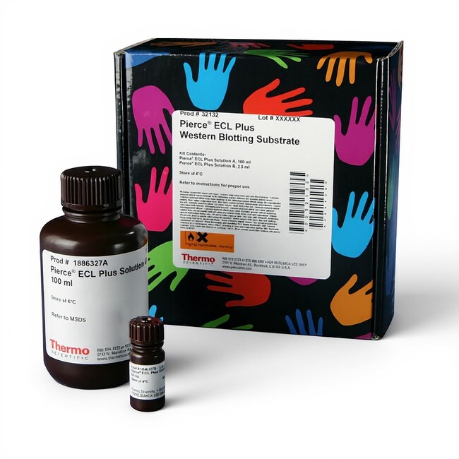 Pierce ECL Plus Western Blotting Substrate, 100 mL kit