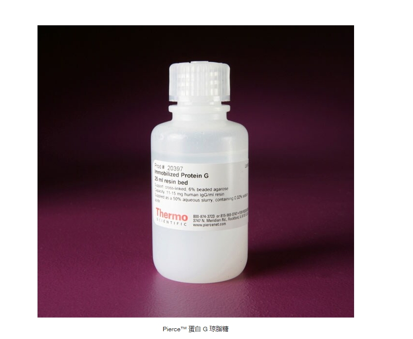 Pierce™ 蛋白 G 琼脂糖