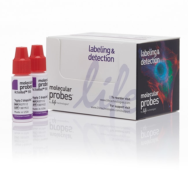 ActinRed 555 ReadyProbes 试剂