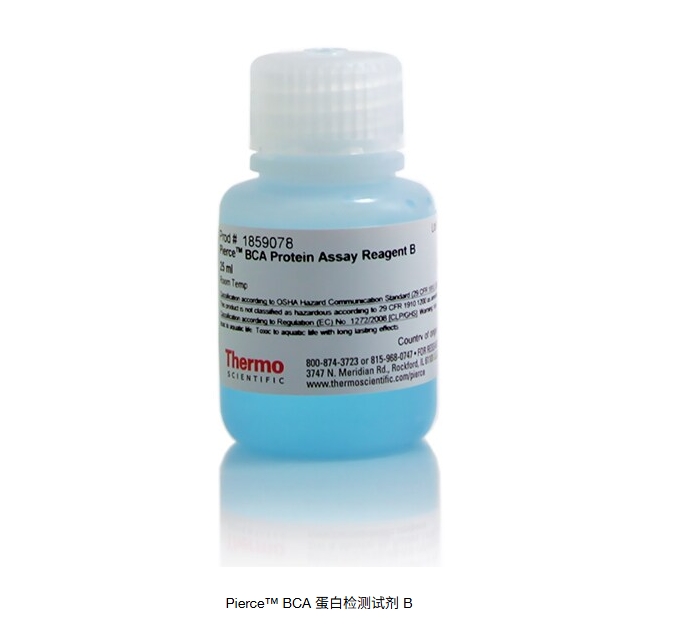 Pierce™ BCA 蛋白检测试剂 B