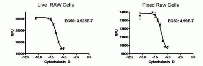 用于检测吞噬作用的 pHrodo Green Zymosan BioParticles 偶联物