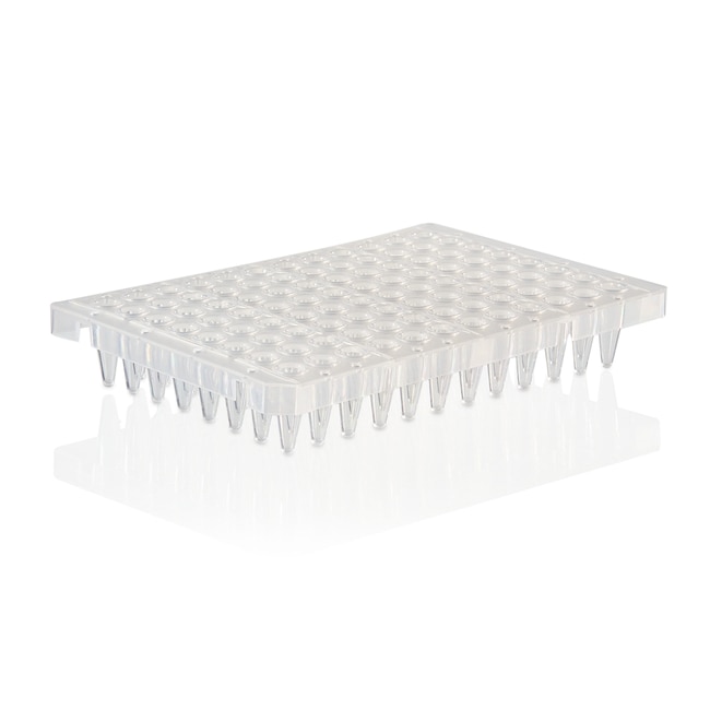 PCR Plate, 96-well, segmented, semi-skirted, Sustain Series