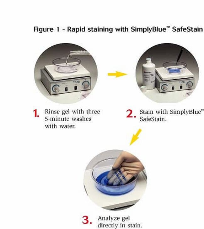 SimplyBlue SafeStain