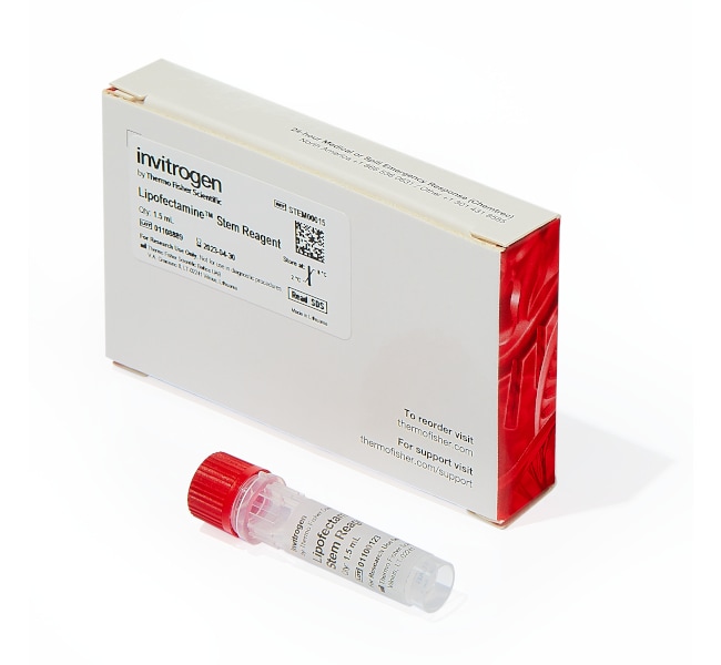 Lipofectamine 干细胞转染试剂