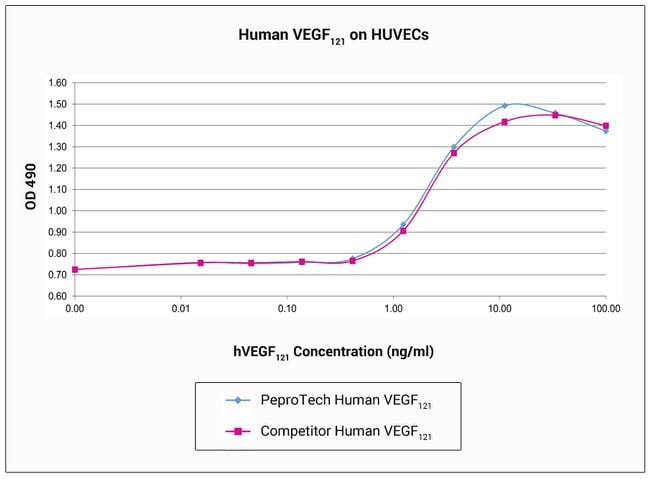Human VEGF-121, Animal-Free Recombinant Protein, PeproTech&reg;